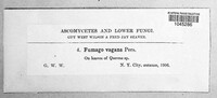 Image Associated With the Occurence